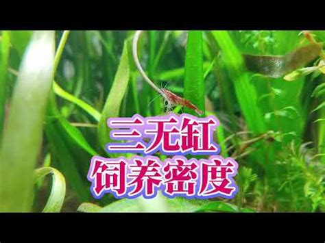 魚缸重量計算|魚缸計算機 